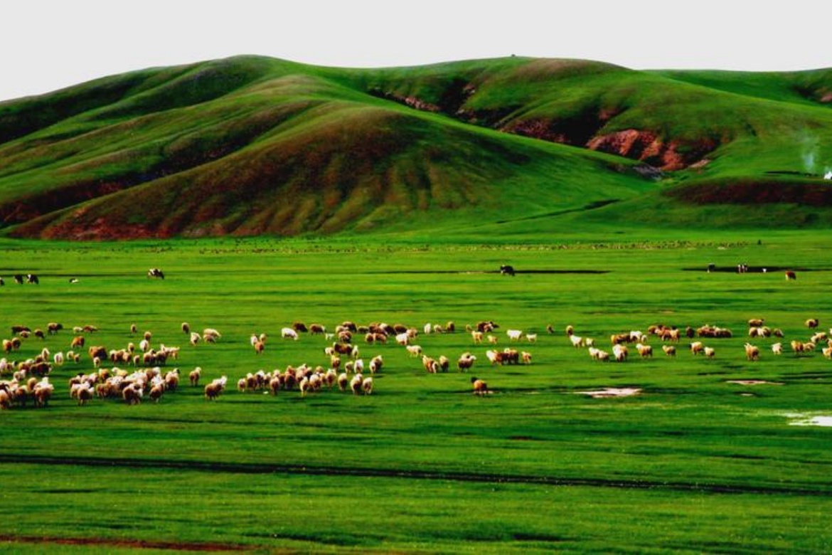 Xilamuren Grassland